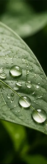 Ambiental