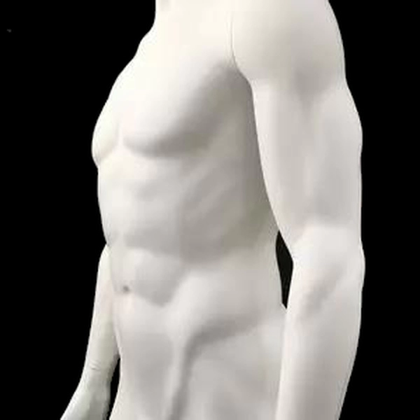 modelo crudo