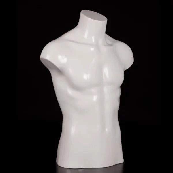 Modelo masculino de medio cuerpo.