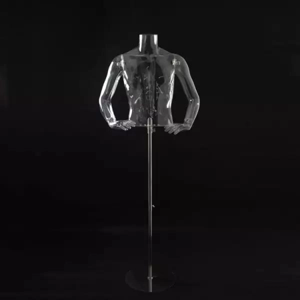 Modelo masculino de medio cuerpo (estructura de soporte) Modelo masculino de medio cuerpo (estructura de soporte)